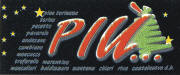 Pino Piu'